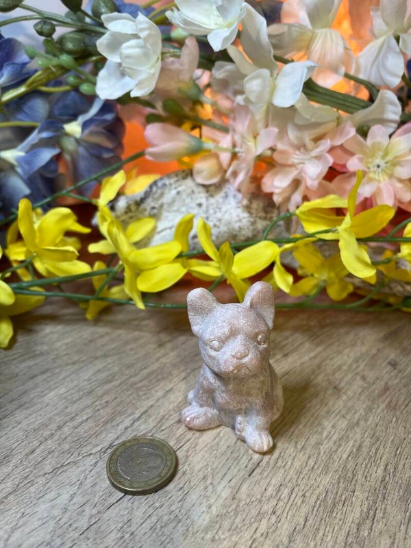 Buldog uit Roze opaal