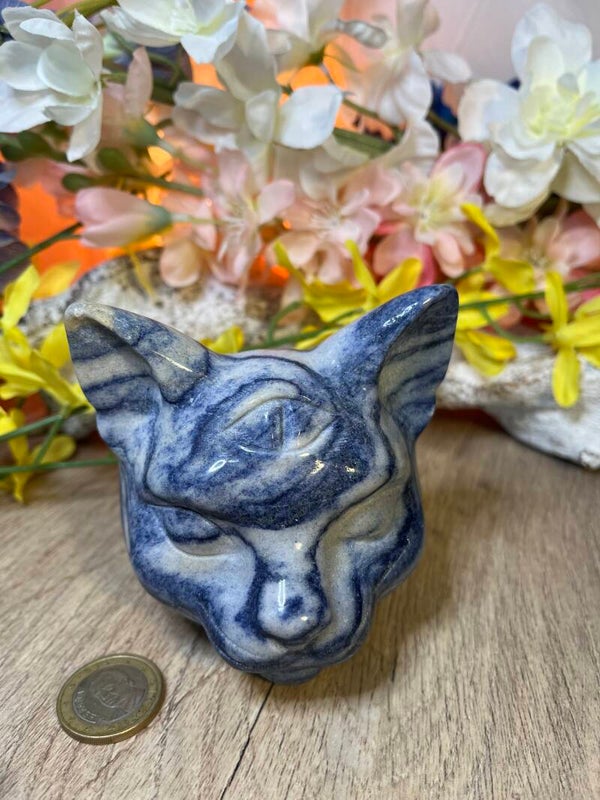 kat met 3e oog uit Soldaliet