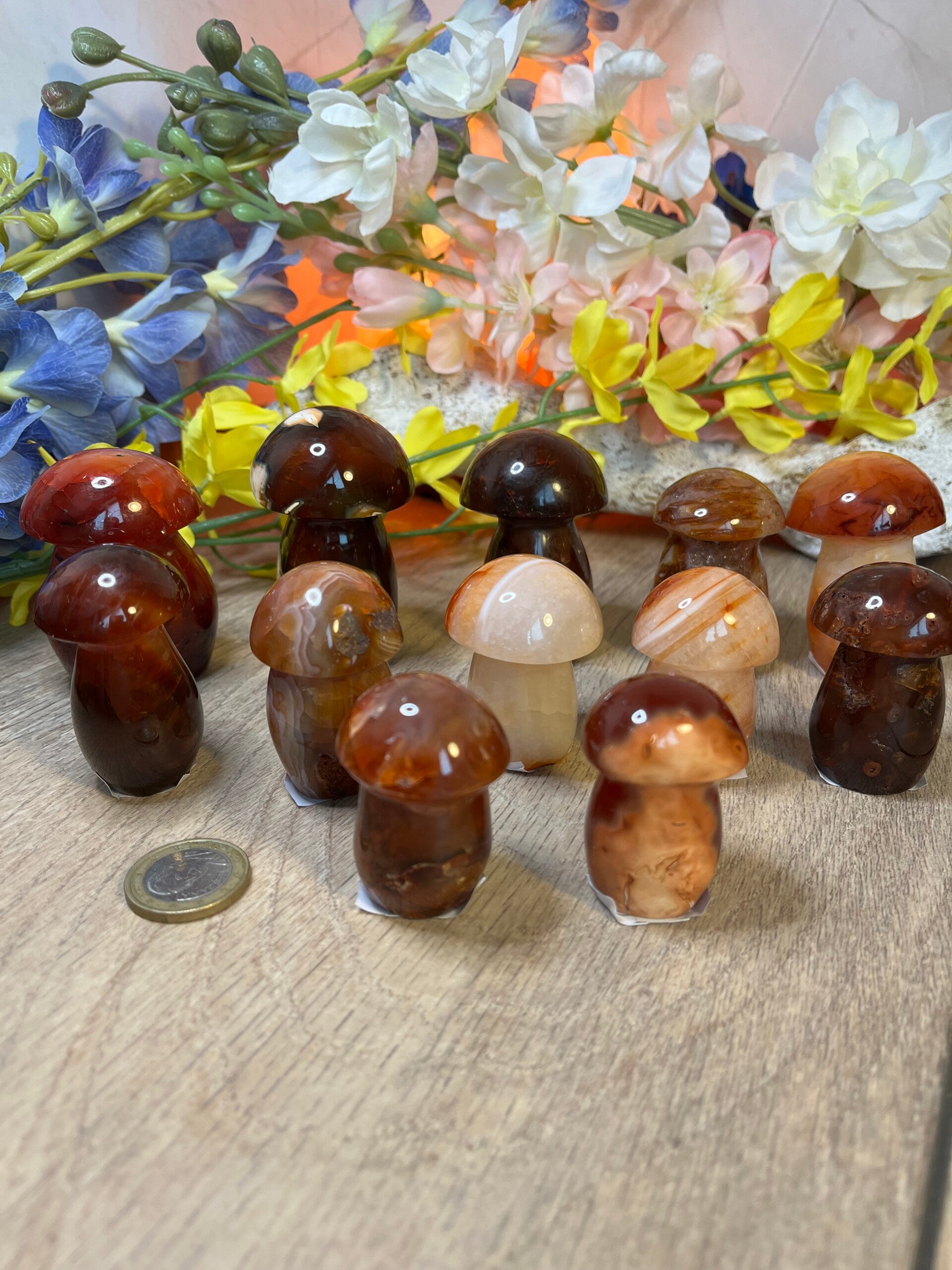 Paddenstoelen uit Carneool