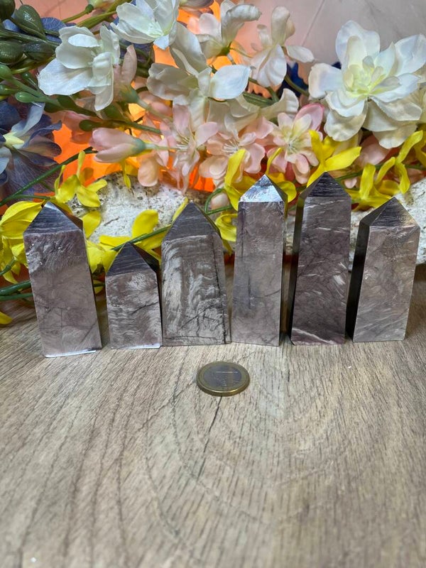 Punten uit Paarse Micca