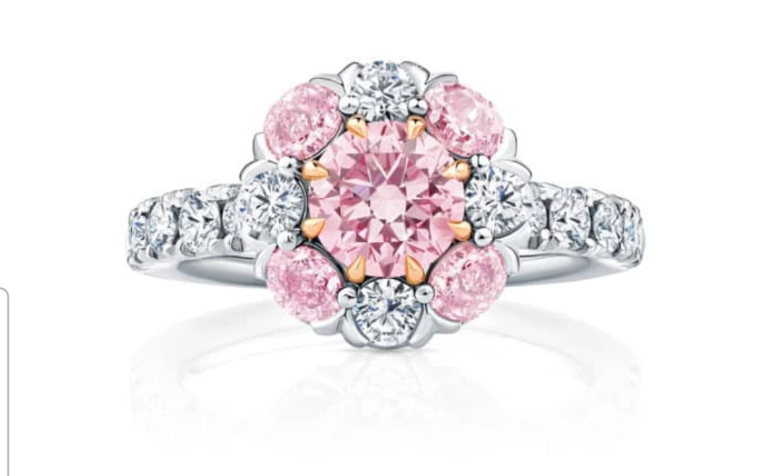 ABAGAIL THE MOST REGAL.OF A.A.P.D COLLECTED FROM THE AUCTIONS SPECIFICALLY