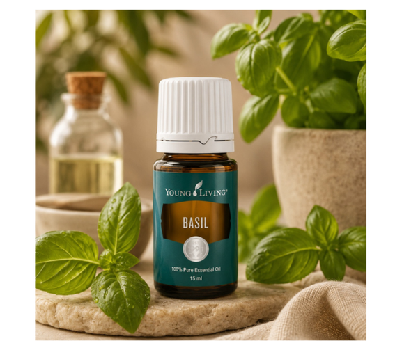 Basil | Basilicum | 15 ml | Young Living