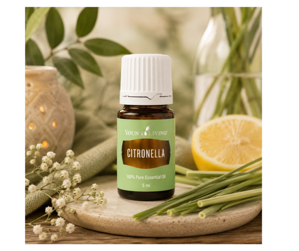 Citronella | 5 ml | Young Living