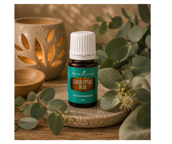 Eucalyptus Blue | 5 ml | Young Living