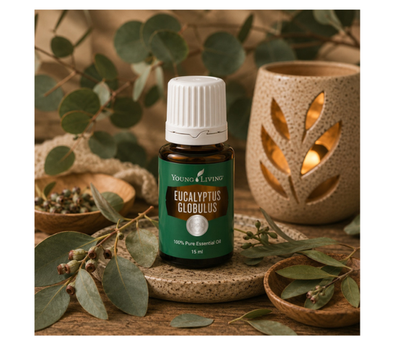 Eucalyptus Globulus | 15 ml | Young Living