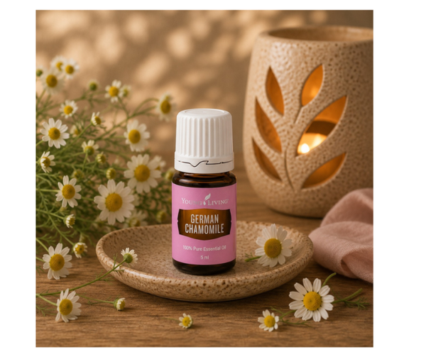 German Chamomile | Kamille | 5 ml | Young Living