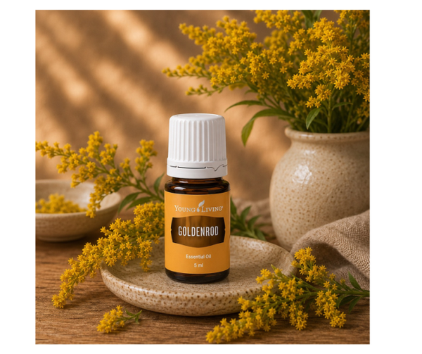 Goldenrod | Guldenroede | 5 ml | Young Living