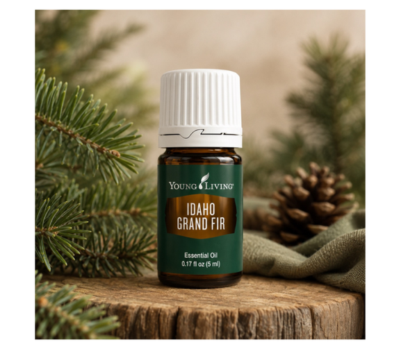 Idaho Grand Fir | 5 ml | Young Living