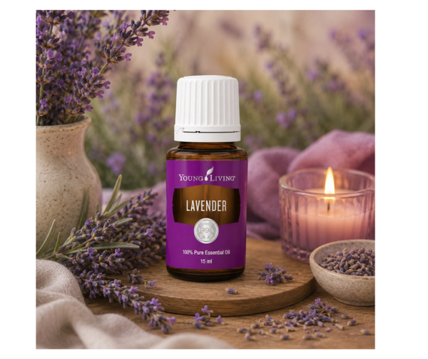 Lavender | Lavendel | 15 ml | Young Living