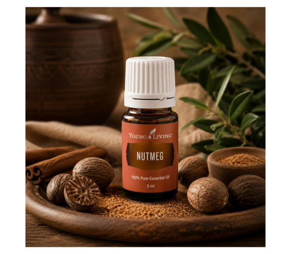Nutmeg | Nootmuskaat | 5 ml | Young Living