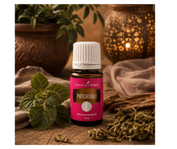 Patchoeli | Patchouli | 15 ml | Young Living