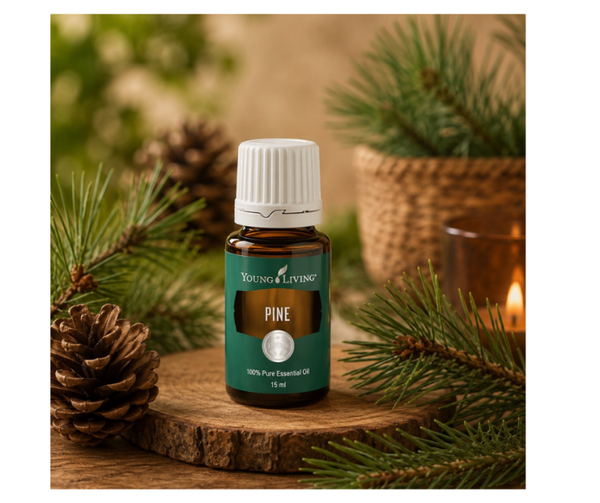 Pine | Den | 15 ml | Young Living