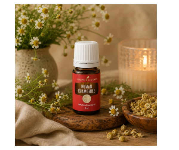 Roman chamomille | Roomse kamille | 5 ml | Young Living
