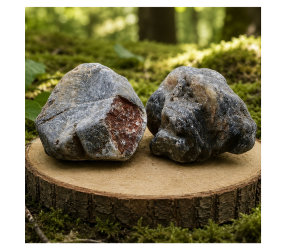 Saffier ruw | Focus, Harmonie en Schildklier