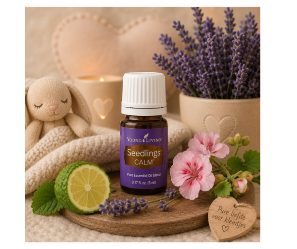 Seedlings Calm | 5 ml | Young Living blend