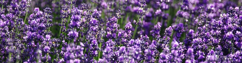 Natuurlijke producten