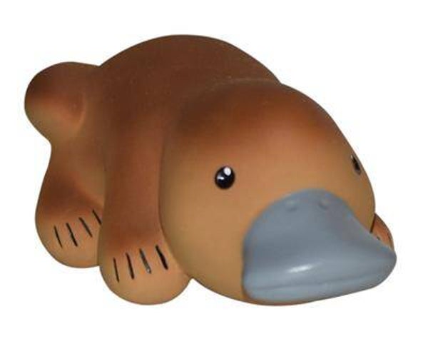 Tikiri - Platypus