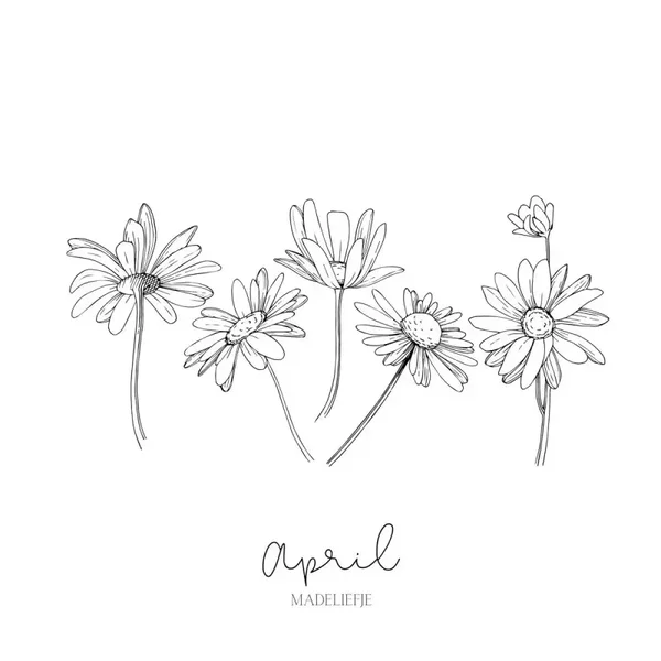 Tegeltjes - Geboortebloem - April