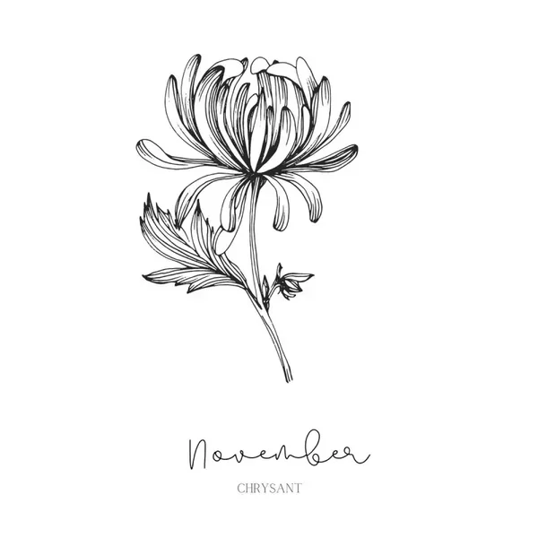 Tegeltjes - Geboortebloem - November