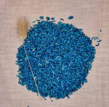 Grennn - Speelrijst - Blauw