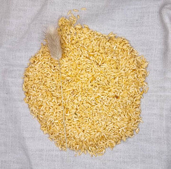 Grennn - Speelrijst - Okergeel