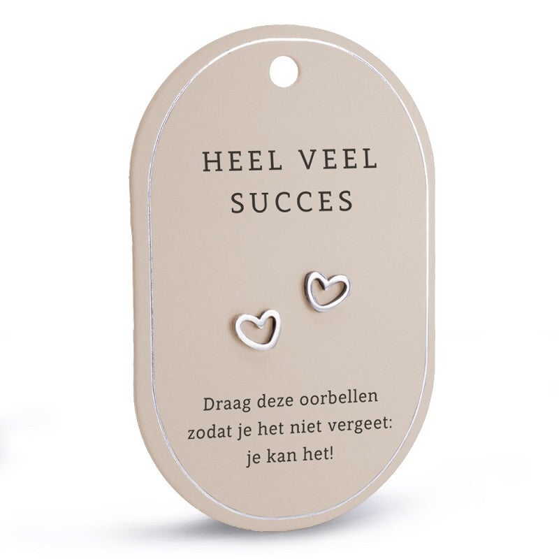 Oorbellen - Heel veel succes - Zilver