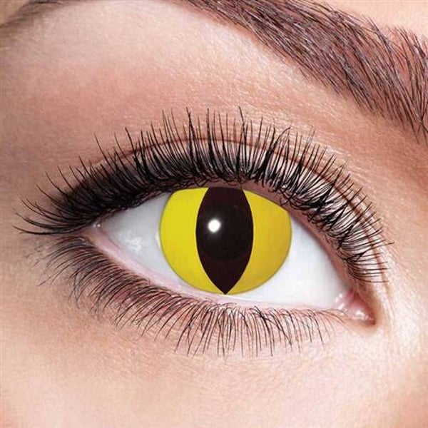 Maandlenzen - Yellow cat