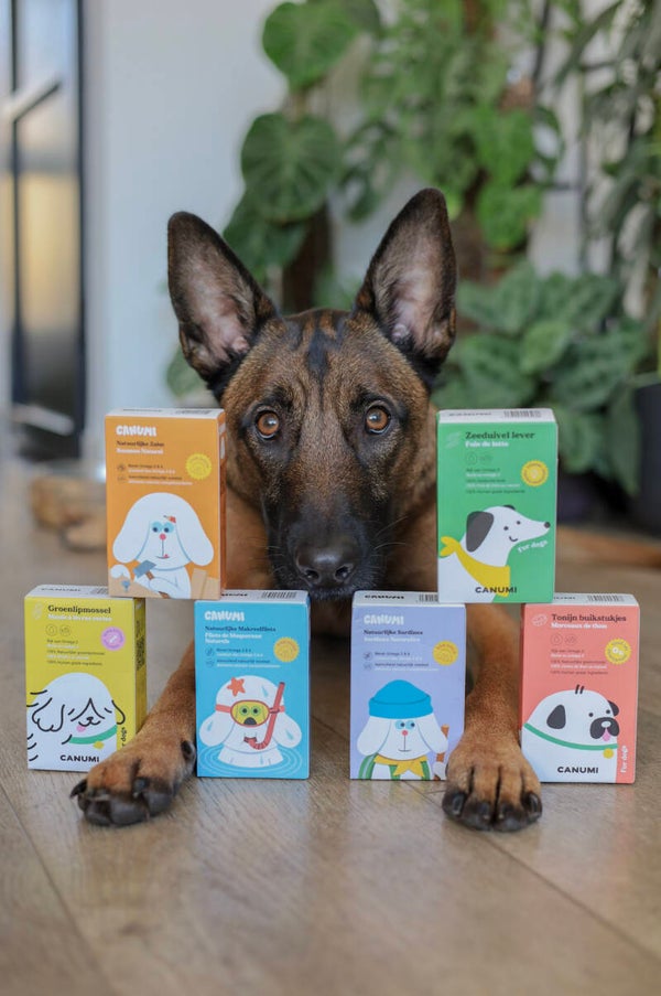 Canumi 6 pack ( vis in blik voor honden )