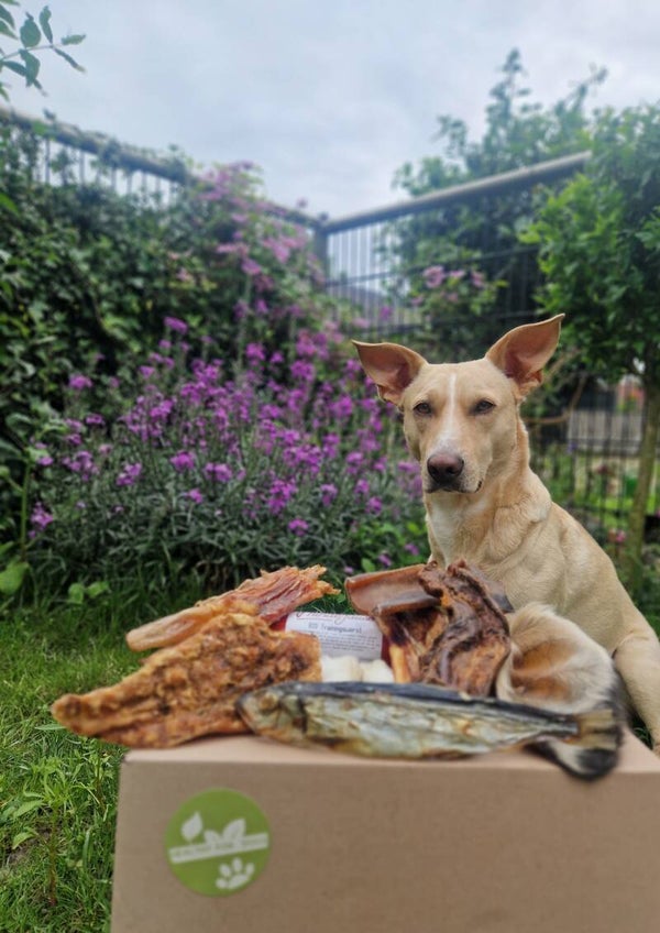 Snackbox Loetje's favorites