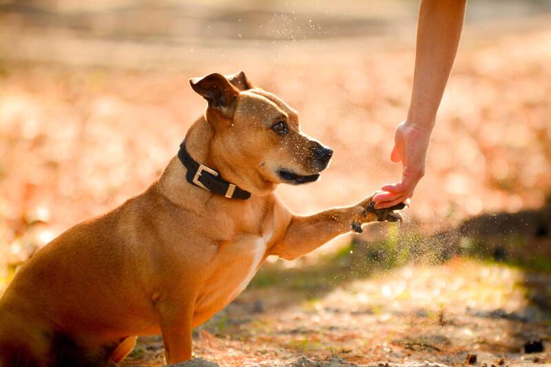 Milo houdt fanny's hand vast 