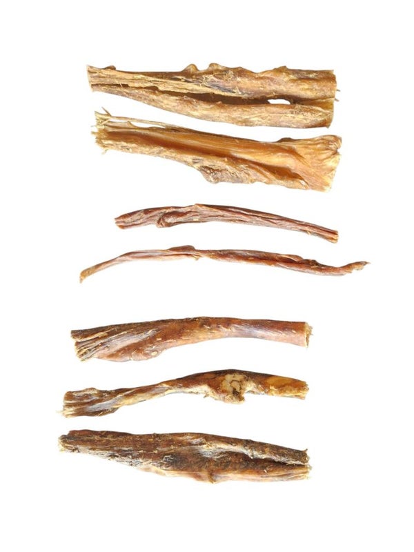 Kamelenpens