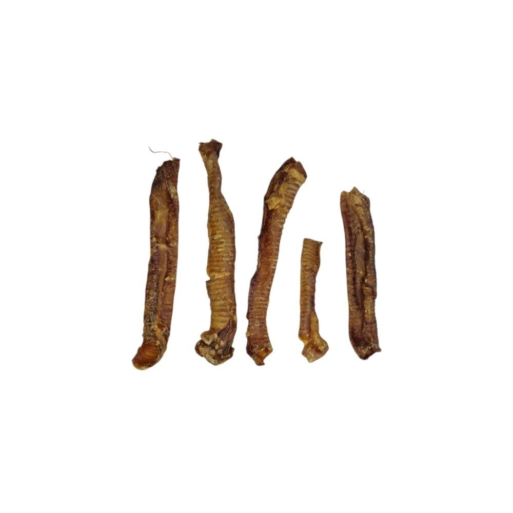 Lamsluchtpijp - Healthyfordogs