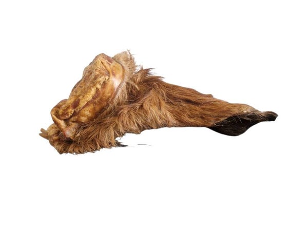 Paardenoor met vacht -  Healthyfordogs