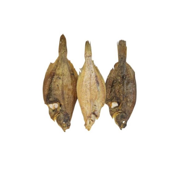 Schol - healthyfordogs - A kwaliteit