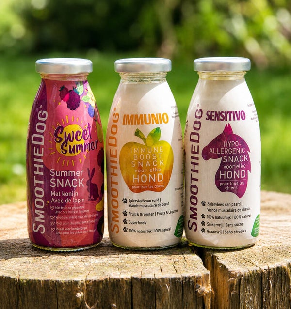 Smoothiedog 3 pack