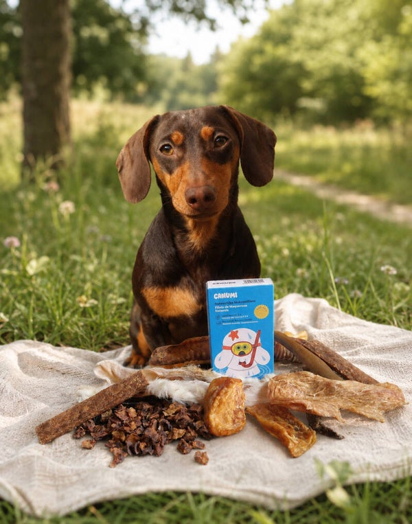 Snackbox Marly's little bites - kleine honden en pups - hypoallergeen