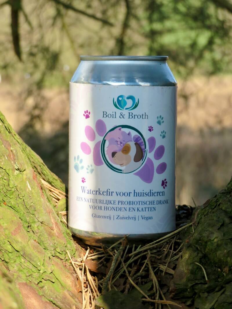 Kefir water voor honden waterkefir boil broth healthyfordogs