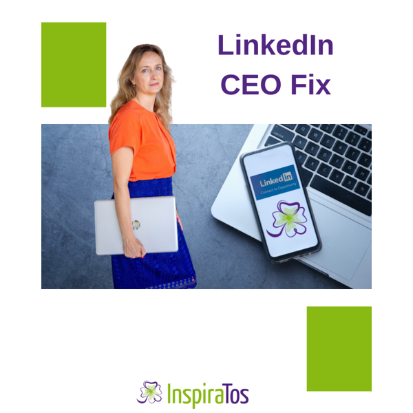 LinkedIn CEO Fix service