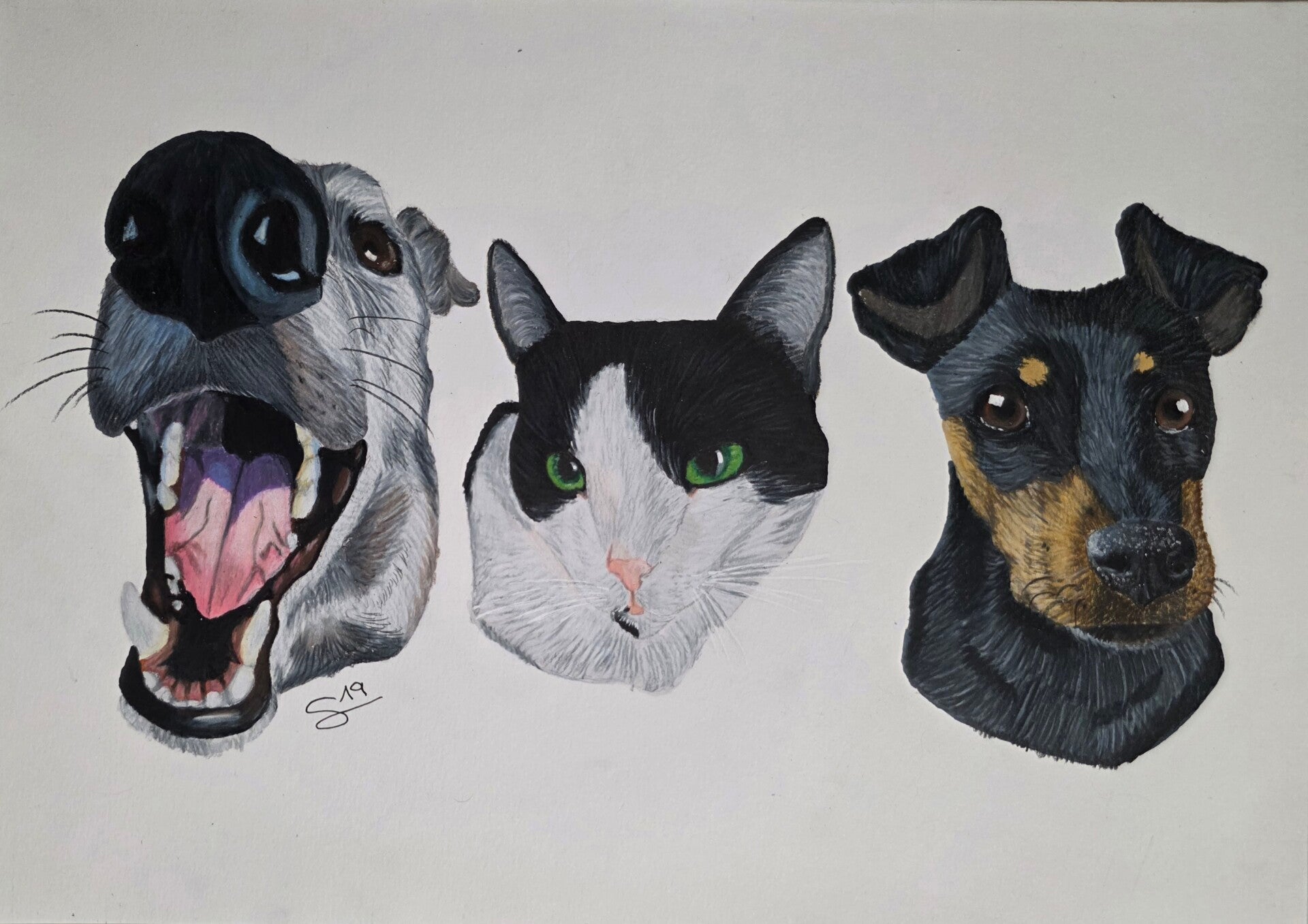 Retrato triple de mascota realista a color