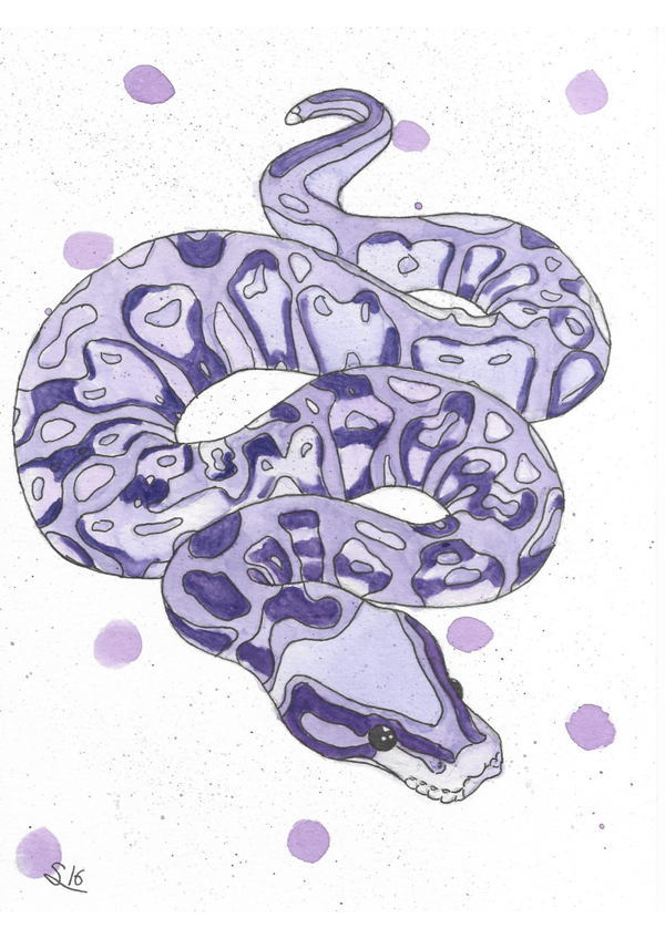 Print serpiente lila