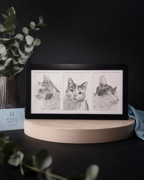 Retrato 3 poses personalizado de mascota realista a grafito