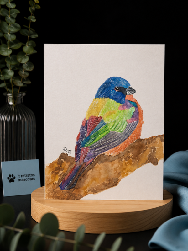 Dibujo pajaro passerina con acuarelas metalicas ORIGINAL