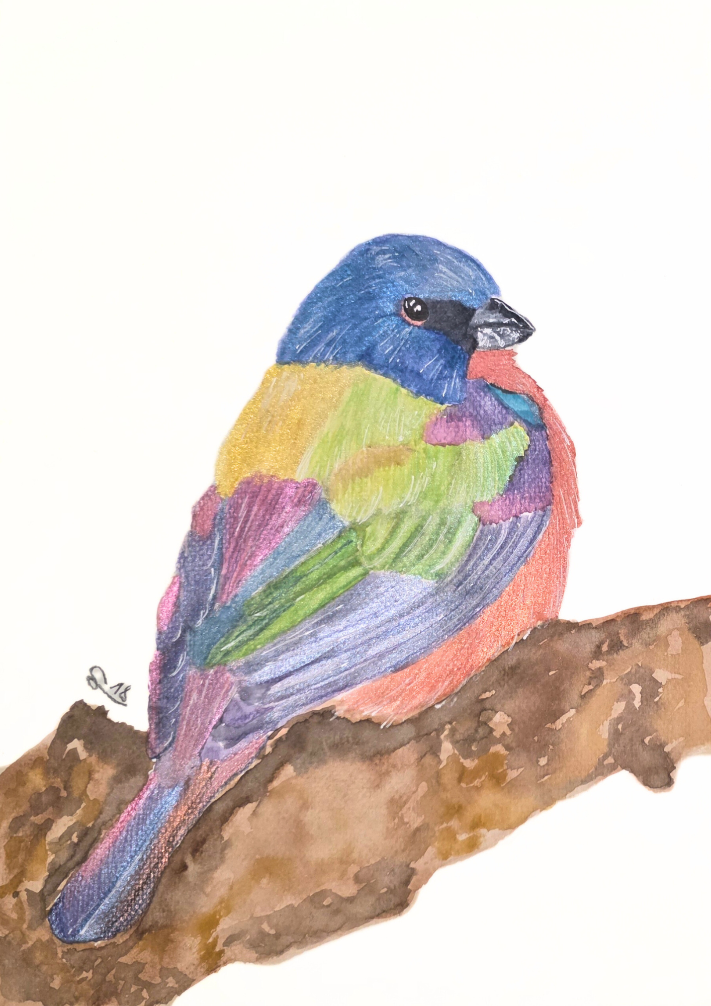 Dibujo pajaro passerina con acuarelas metalicas ORIGINAL