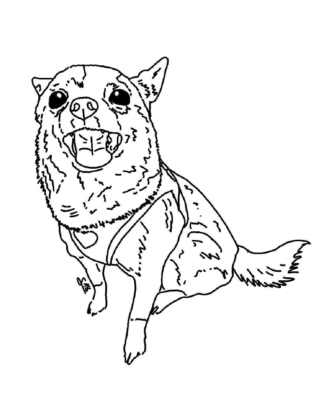 penup_20250326_174102-standard-a0o9zx.jpg