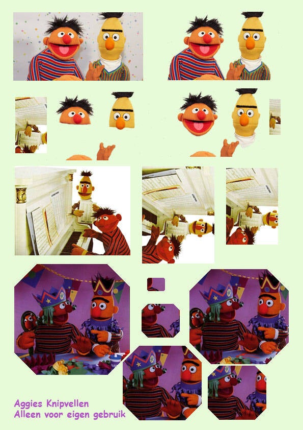 Bert & Ernie 1