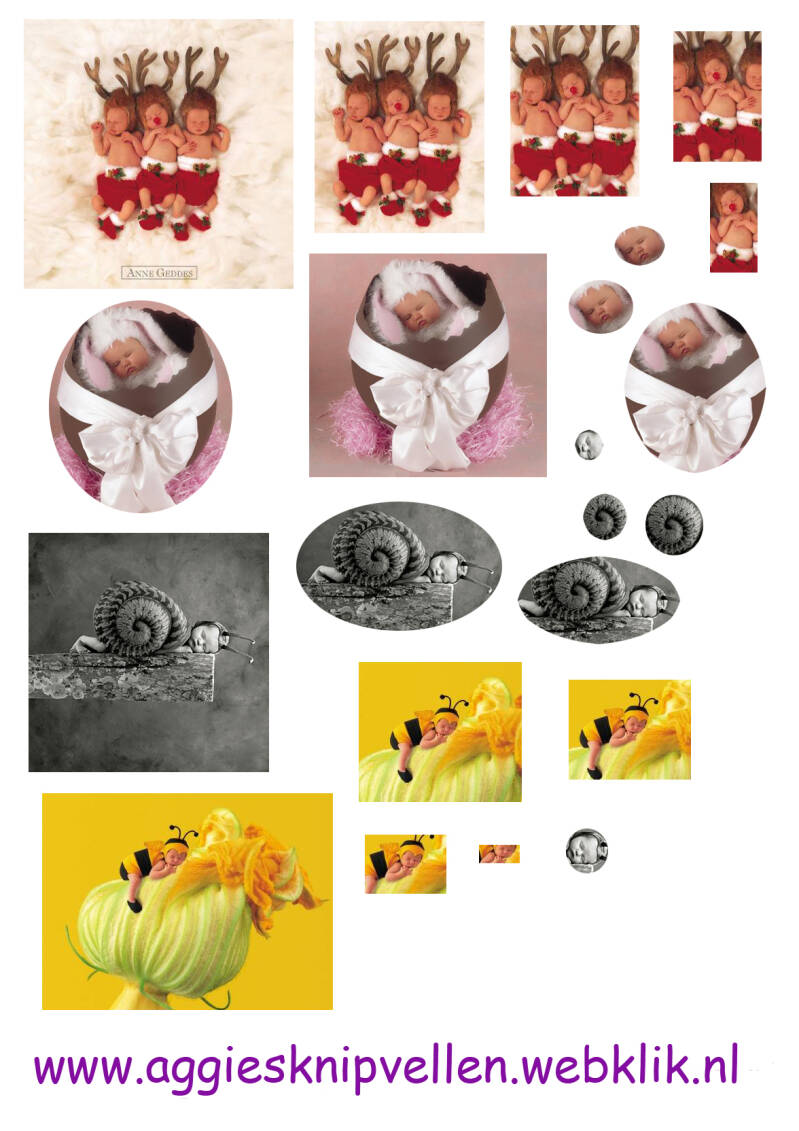 Anne Geddes 1