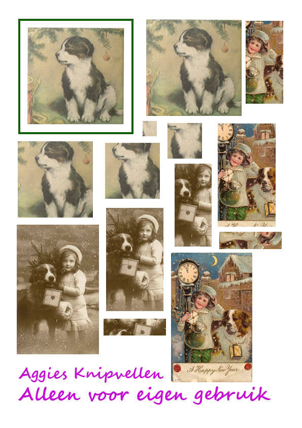 St Bernard/Bennersennen