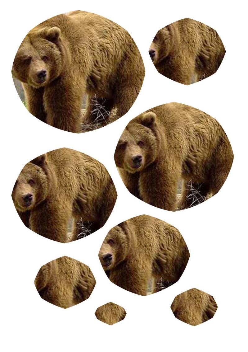 Bruine beer groot deel 3