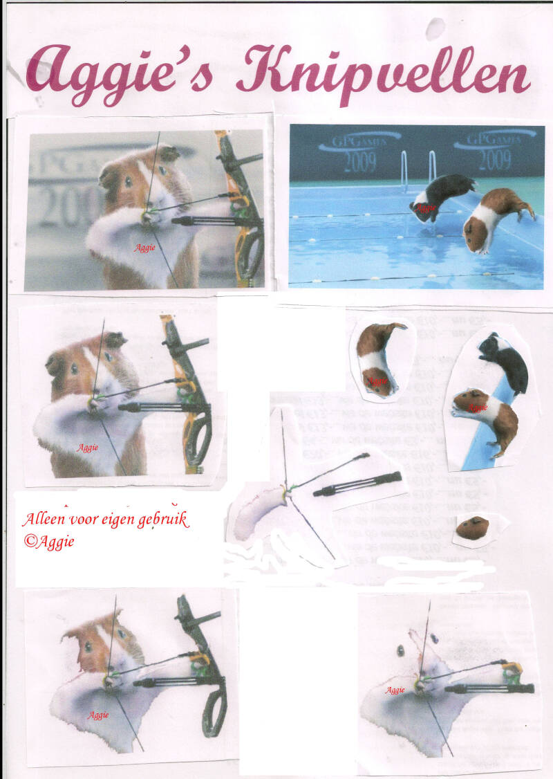 Boogschieten/Zwemmen