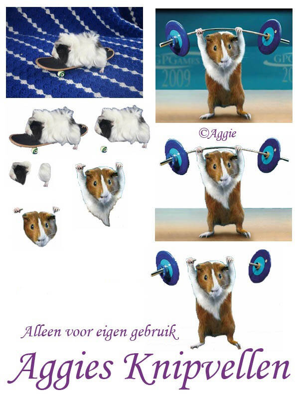 Skateboarden/Gewichtheffen